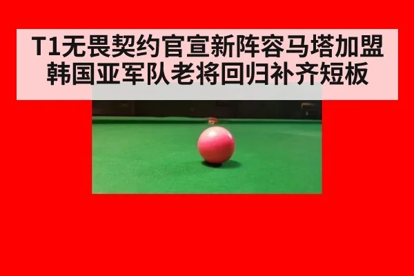 T1无畏契约官宣新阵容马塔加盟韩国亚军队老将回归补齐短板